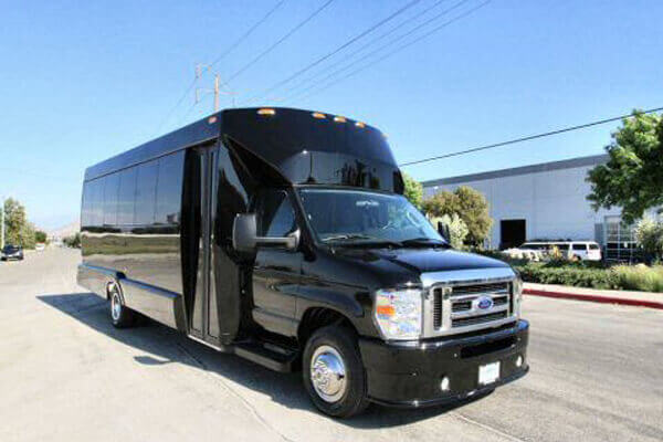 Lewisville 15 Passenger Party Bus