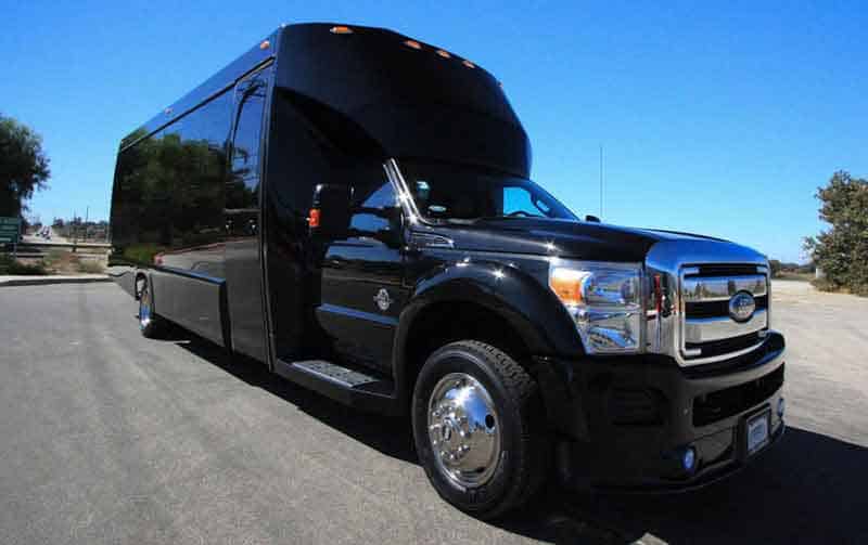 Grand Prairie 30 Passenger Party Bus Black