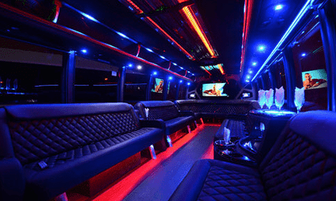 Lewisville 30 Passenger Party Bus Black Interior